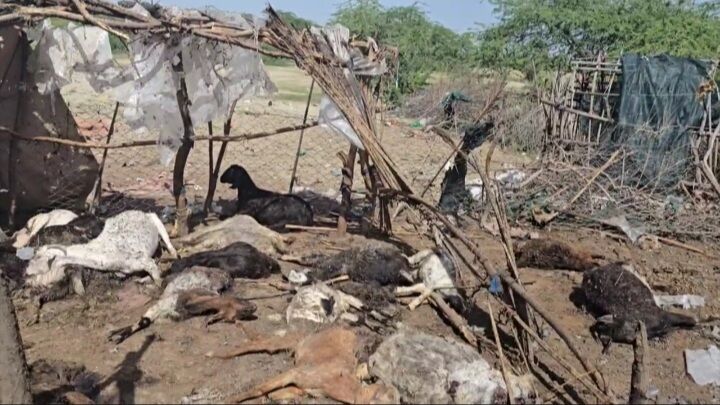 حمله موشکی به آغل دام در شهرستان جاسک/صدها بز و گوسفند تلف شدند