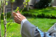 پویش ملی و مردمی درختکاری در منطقه سرنجلکل برگزار می شود