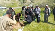غرس نهال توسط نماینده ولی فقیه در کهگیلویه و بویراحمد