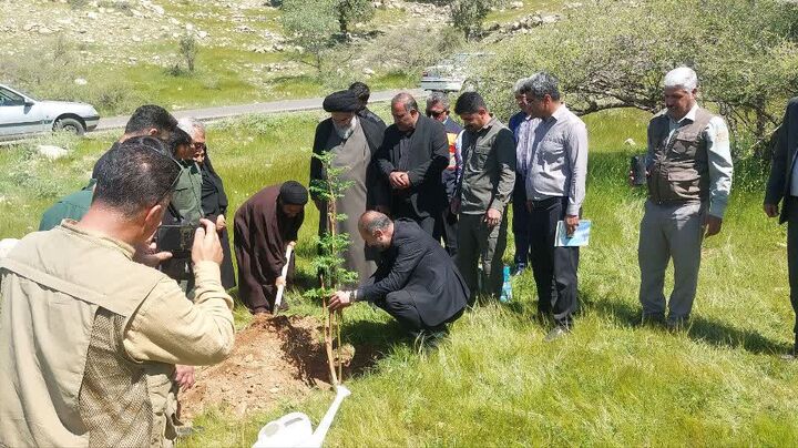 غرس نهال توسط نماینده ولی فقیه در کهگیلویه و بویراحمد
