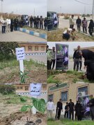 نهال‌هایی به نام شهدا در میناب کاشته شد