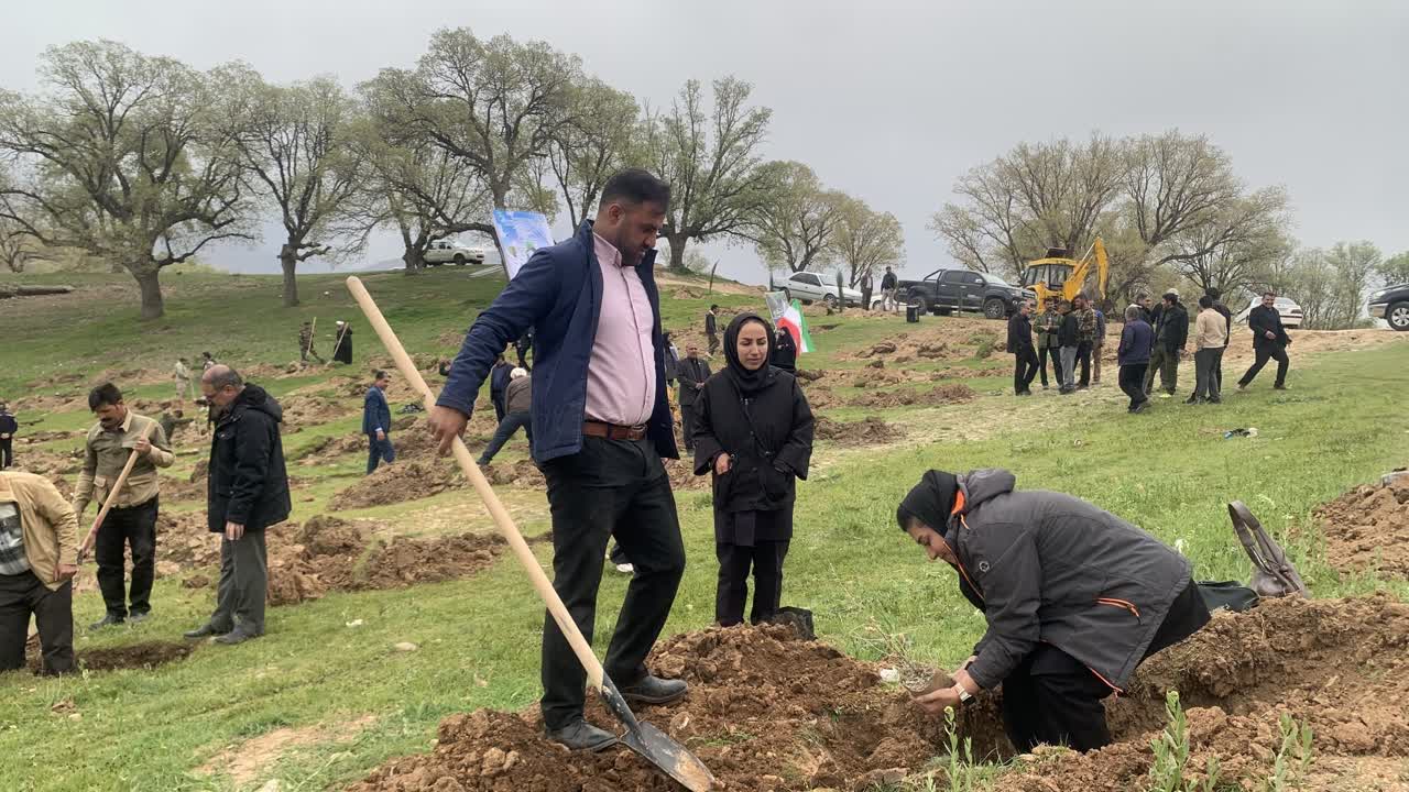 کاشت ۶۵ هزار اصله نهال امید در کهگیلویه و بویراحمد به یاد رهبر شهید