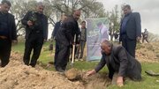 کاشت ۶۵ هزار اصله نهال امید در کهگیلویه و بویراحمد به یاد رهبر شهید