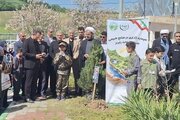«سرو ایران» در گلستان ریشه دواند/ غرس ۲ هزار نهال در چهلمین روز شهادت رهبر امت و روز ملی فناوری هسته‌ای