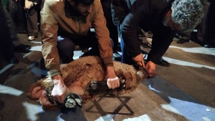 «بچه‌های مسجد» ششمین نذر قربانی خود را تقدیم کردند