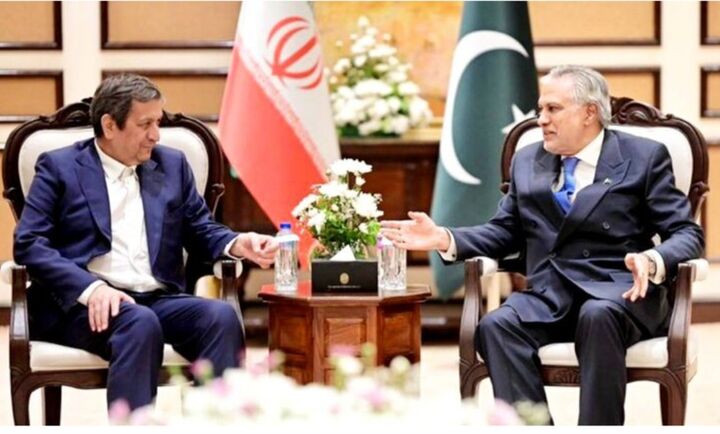 دیدار همتی با وزیر خارجه پاکستان