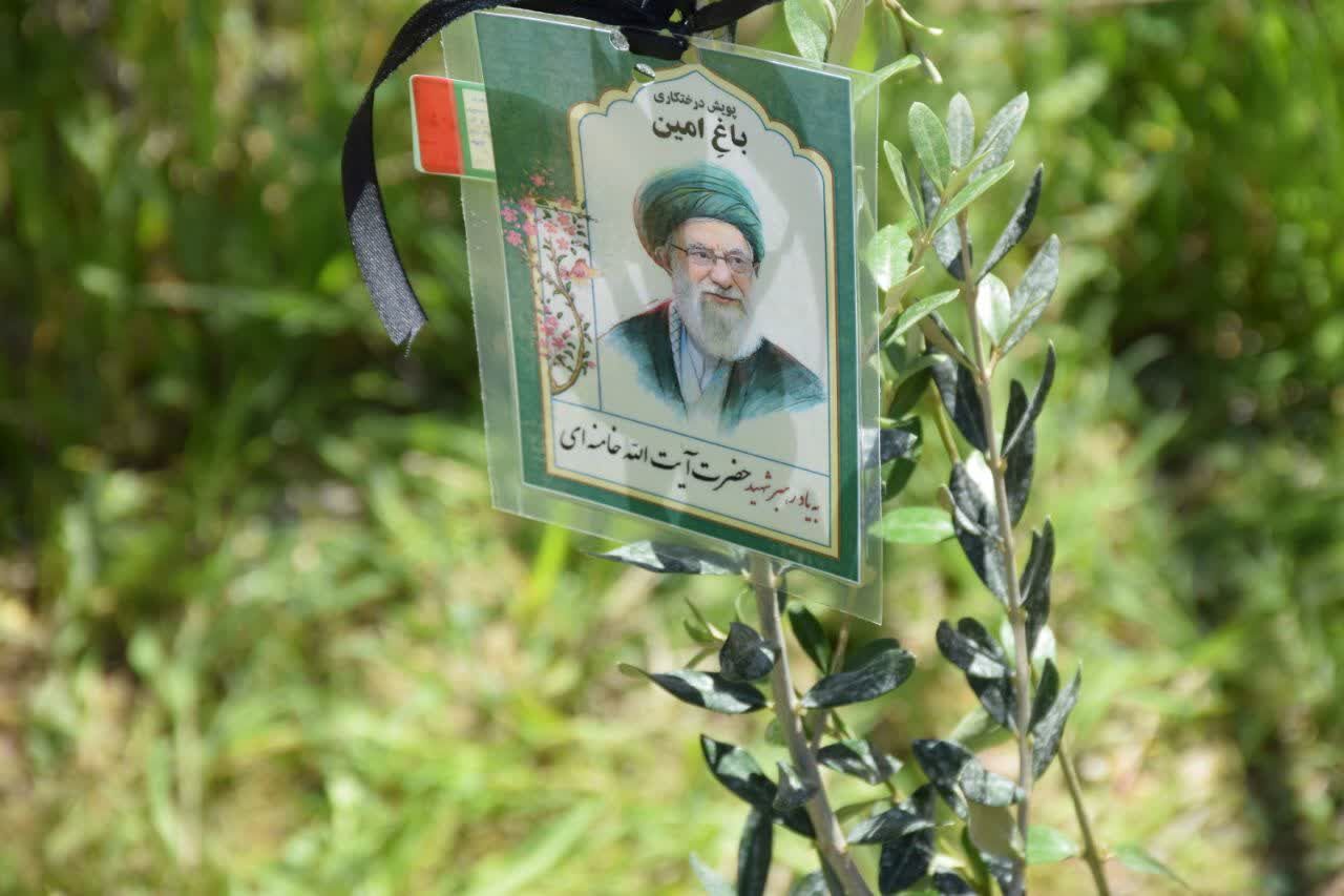 ۷ونیم میلیون نهال در لرستان کاشته می‌شود