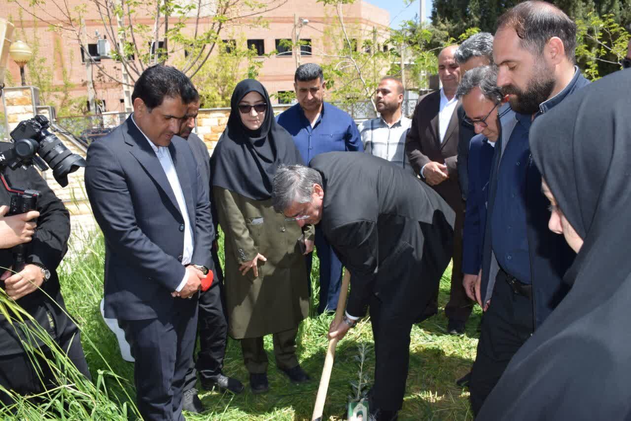 ۷ونیم میلیون نهال در لرستان کاشته میشود
