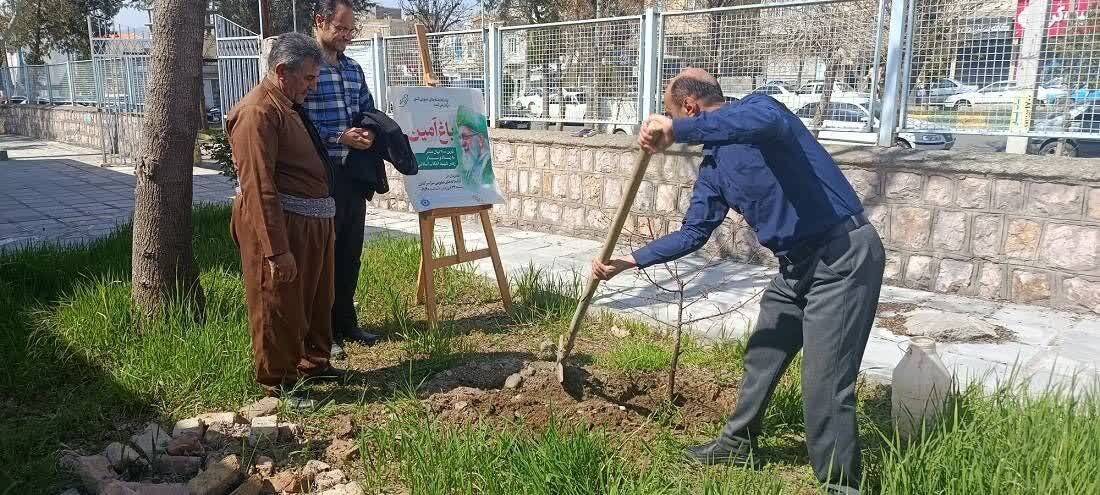  «باغ امین» در کتابخانه‌های کردستان شکل گرفت/ غرس نهال به یاد رهبر شهید انقلاب