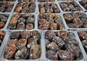 اهدا ۲ تن خرمای مضافتی از سوی یک نخلدار هرمزگانی به جبهه‌های جنگ تحمیلی رمضان