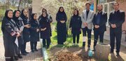 پویش «کاشت نهال امید» پیوندی میان محیط زیست و فرهنگ ایثار است