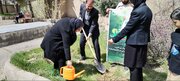 کاشت نهال «سرو ایران» در کتابخانه عمومی قروه به یاد شهدای جنگ رمضان