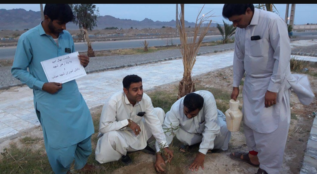 شرکت بچه مسجدی‌های اهل‌سنت در پویش نهال امید در نقطه صفر مرزی