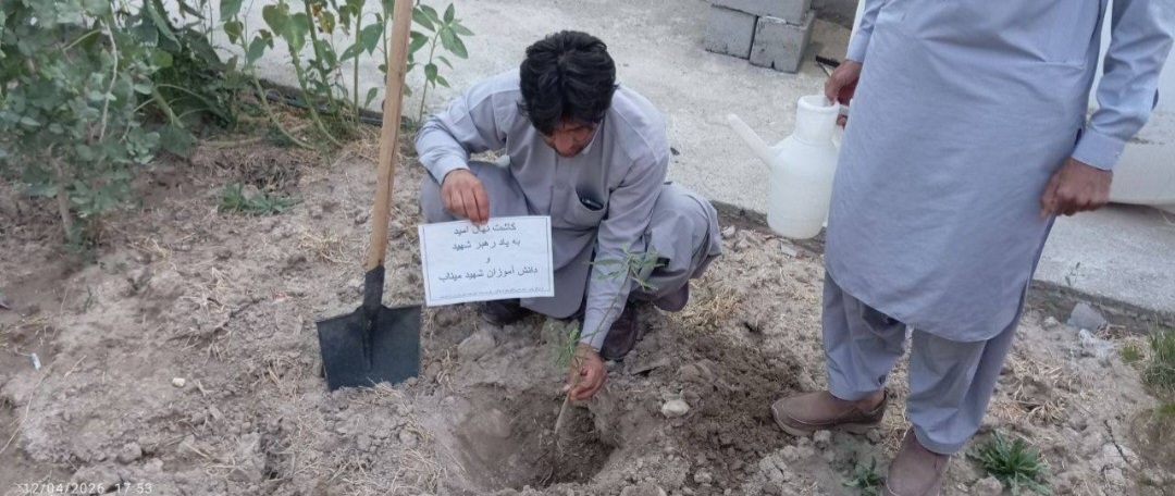 شرکت بچه مسجدی‌های اهل‌سنت در پویش نهال امید در نقطه صفر مرزی