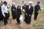 غرس ۲۳۴ نهال در موقوفه گوهرشاد مشهد به یاد شهدای میناب