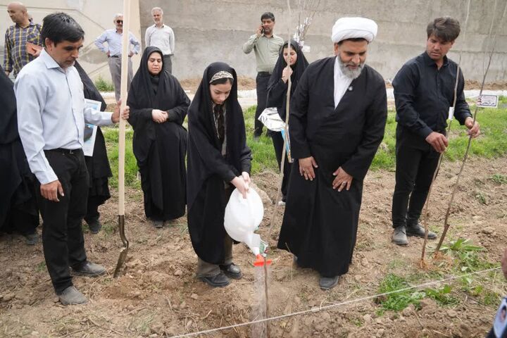 غرس ۲۳۴ نهال در موقوفه گوهرشاد مشهد به یاد شهدای میناب