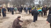 کاشت ۴۰ اصله نهال «امید» در اردبیل به یاد قائد امت و شهدای جنگ رمضان