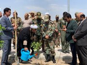 غرس نهال «سرو ایران» در منازل مسکونی ارتش زاهدان