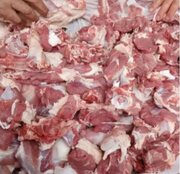 توزیع ۵۰ بسته همدلی و قربانی گوسفند در مهران به مناسبت دهه کرامت