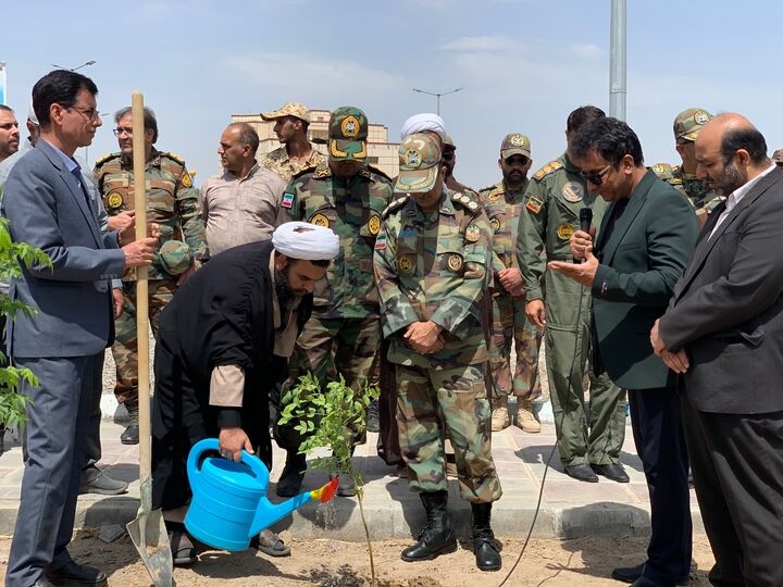 غرس نهال «سرو ایران» در منازل مسکونی ارتش زاهدان