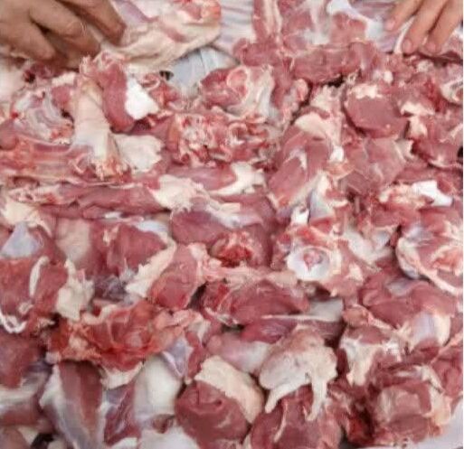 توزیع ۵۰ بسته همدلی و قربانی گوسفند در مهران به مناسبت دهه کرامت