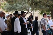 هشدار استانداری قدس درباره طرح تعرض سازمان‌ یافته صهیونیست‌ها به مسجد الاقصی