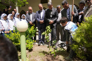 پویش کاشت درخت در استان اصفهان
