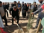 تجلی انسجام اصفهانی‌ها در پویش «کاشت نهال امید»