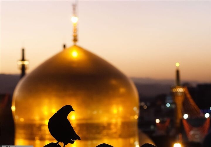 سیره رضوی؛ نسخه‌ای زنده برای مهربانی در دنیای امروز