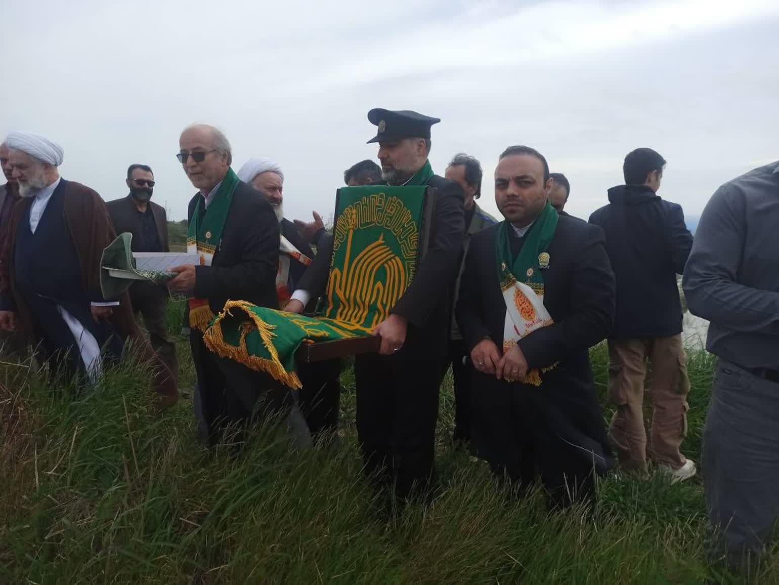 عطر کرامت رضوی در مزارع برنج گیلان