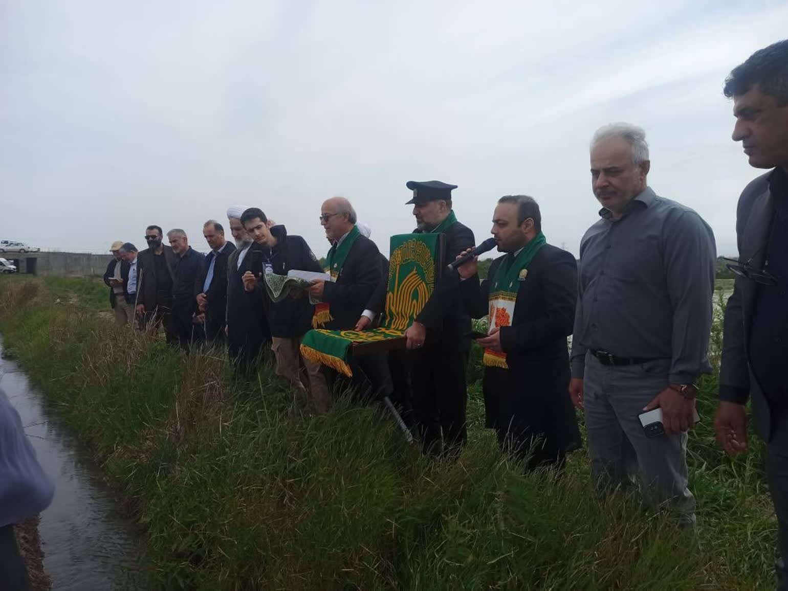 عطر کرامت رضوی در مزارع برنج گیلان