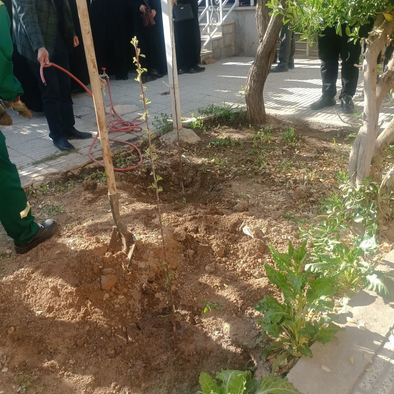 کاشت نهال به یاد شهدای جنگ رمضان شهرستان شاهرود