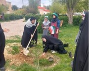 گرامیداشت روز دختر با کاشت نهال در آموزش‌ و پرورش کهگیلویه و بویراحمد