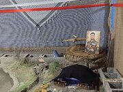 یادمان شهید قاسمی‌زاده هنر روایت حماسه تا شهادت