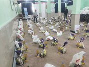 ۸۳ میلیارد ریال، سهم ایلام از پویش «ایران همدل»