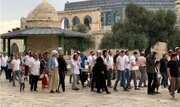 قدس و مسجد الاقصی در ماه می در انتظار «سخت‌ترین و طاقت‌فرساترین» روزها
