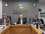 تاکید مشاور عالی وزیر فرهنگ بر ارتقای تاب‌آوری جامعه با تکیه بر سیره امام رضا (ع)