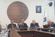 ۱۹ میلیون جامانده سهام عدالت تا پایان سال ساماندهی می‌شوند