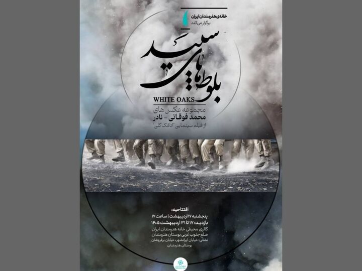 «بلوط‌های سپید» در گالری محیطی خانه هنرمندان ایران