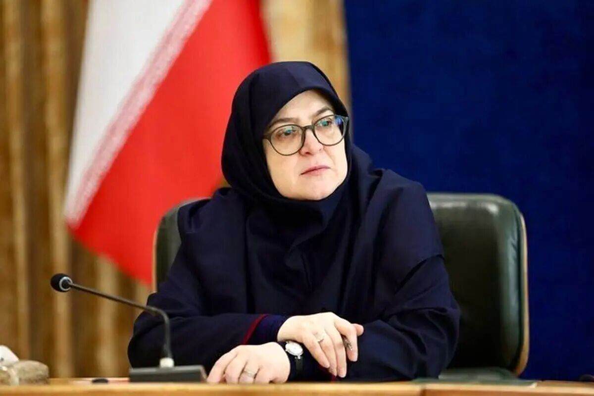 مهاجرانی: دولت در طرح مسجدمحوری به دنبال شبکه‌سازی ظرفیت‌های موجود است
