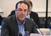 هانتاویروس جدید نیست/ نگرانی درباره همه گیری وجود ندارد