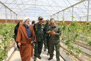 گلخانه هیدروپونیک صیفی‌جات در روستای ایگدیر ارومیه افتتاح شد
