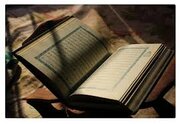 تجمع گسترده در حمایت از مسلمانان هامترامک آمریکا؛ تهدید به آتش‌زدن قرآن عملی نشد