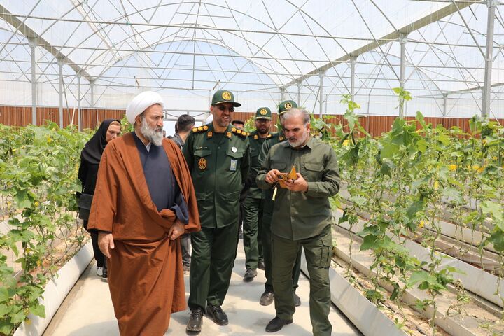 گلخانه هیدروپونیک صیفی‌جات در روستای ایگدیر ارومیه افتتاح شد
