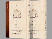 دوره دو جلدی «نور ملکوت حج» منتشر شد