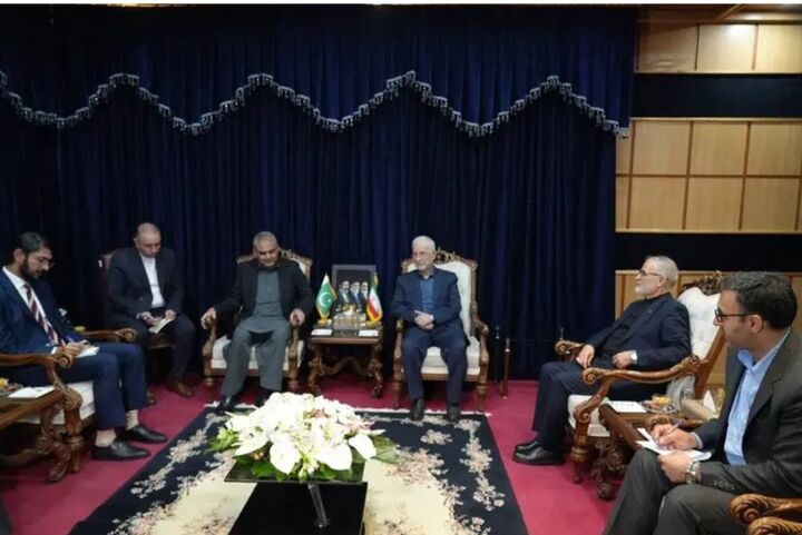 همکاری دو جانبه، محور گفتگوی وزیران کشور ایران و پاکستان