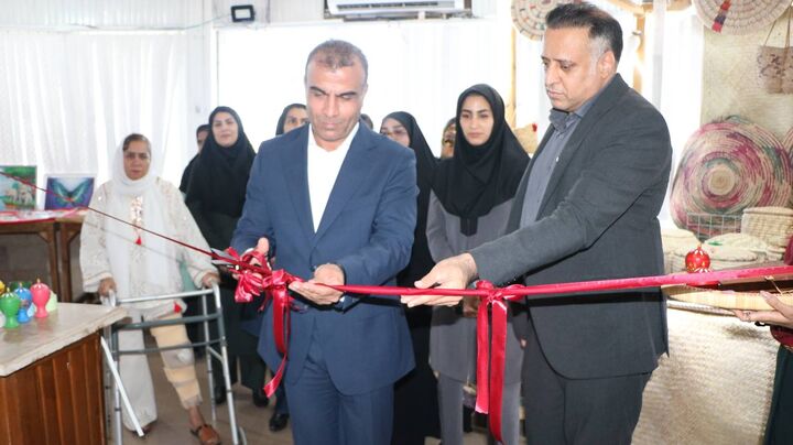 استمرار خدمت‌رسانی در شرایط بحرانی؛ هرمزگان در جمع برترین‌های وزارت تعاون، کار و رفاه اجتماعی
