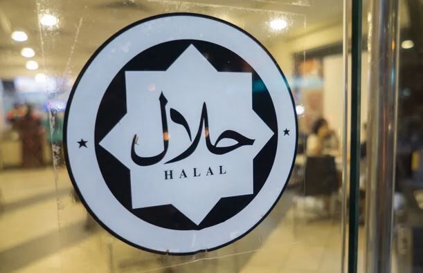 چین در بازار جهانی حلال؛ از تولید داخلی تا رهبری صادرات