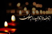 مادر شهید بش به فرزندش پیوست
