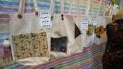 افتتاح رویداد طرح «طوبی» در گرگان
